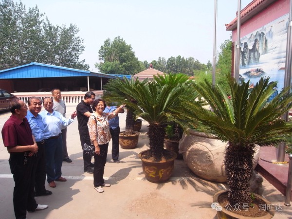 1749605844631359.jpg 微信圖片_20250611090158.jpg